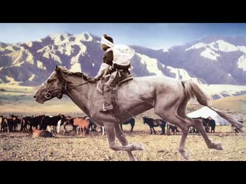 Видео: Ханддоржийн хонгор халзан морьны цол дуудна