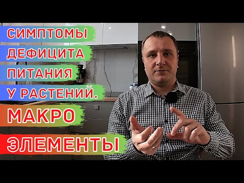 Видео: Визуальная оценка дефицита элементов питания у растений.  Макроэлементы.