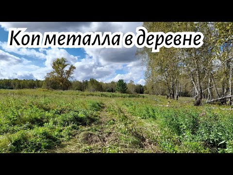 Видео: Металлокоп в деревне прохожу лесопосадку.