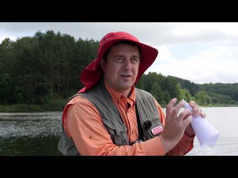 Видео: Обычный эхолот или эхолот высокого разрешения? \ Рыболовные расследования. Сезон 3.