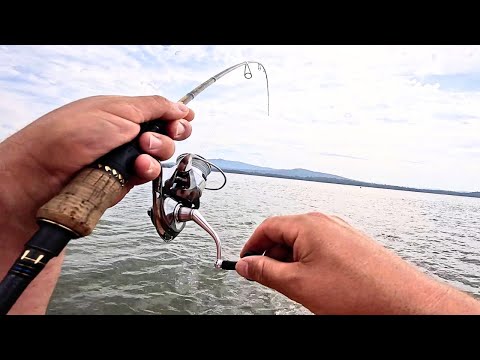 Видео: Когда крупной рыбе нужны маленькие приманки… MONSTER Flatty Smash!