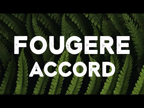 Видео: Традиционные фужерные аккорды в ПАРФЮМЕРИИ