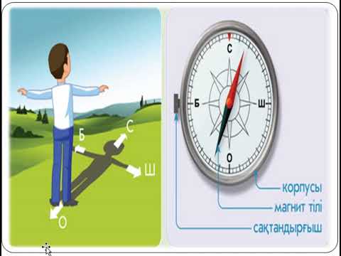 Видео: 4 сынып қазақ тілі сабағы "Сөз таптары"