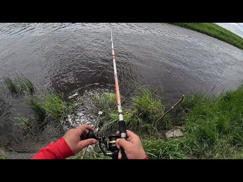 Видео: Я НЕ ОЖИДАЛ ЧТО ПОПАДУ НА ТАКОЙ КЛЁВ!!! ТАКОЕ БЫВАЕТ ОЧЕНЬ РЕДКО!!!