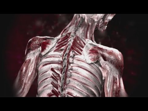 Видео: Блиц-турнир лиги 2: травмы 🔥