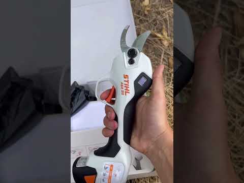 Видео: НОВИНКА Аккумуляторный секатор Stihl ASA20 ТЕСТ