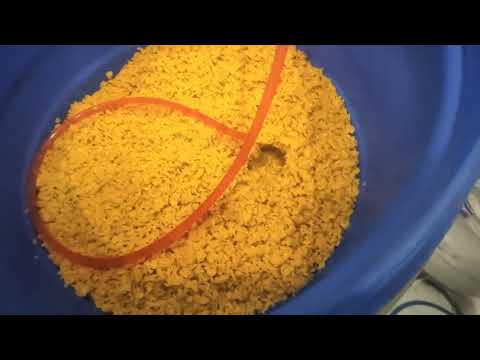 Видео: Перерабатываем Экструдированную Кукурузу. Работаем на тарелках.