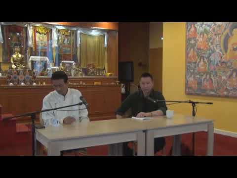 Видео: Эффект тибетской медицины. Как работают лекарства. Вин-Дарья