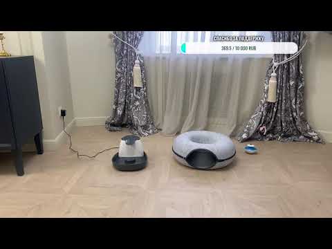 Видео: Добрый день