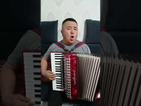 Видео: Мен сени коруу учун баратам ...Аккардеон.#аккардеон#кыргызчаырлар 