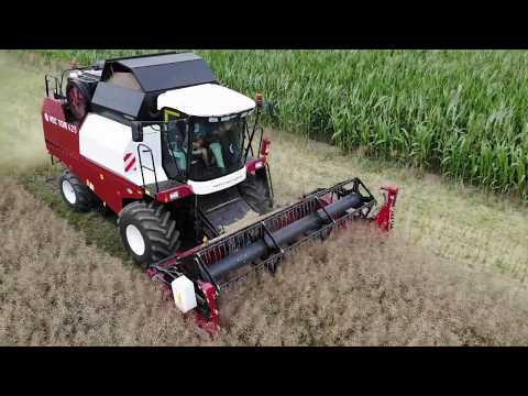 Видео: Рапсовый стол Lupus