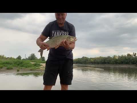 Видео: Рыбалка в Польше Рыбалка на Висле в Варшаве. Ловля на спиннинг в Варшаве.