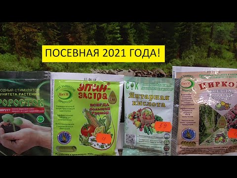 Видео: Чем обработать семена для стимуляции перед посевом 2021? Ольга Чернова.