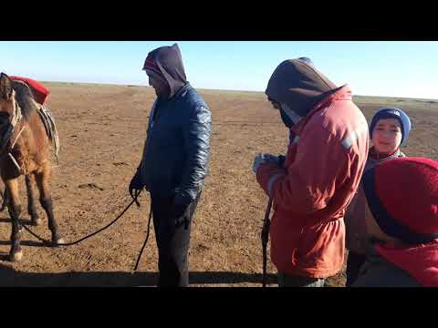 Видео: Ауыл көктемі