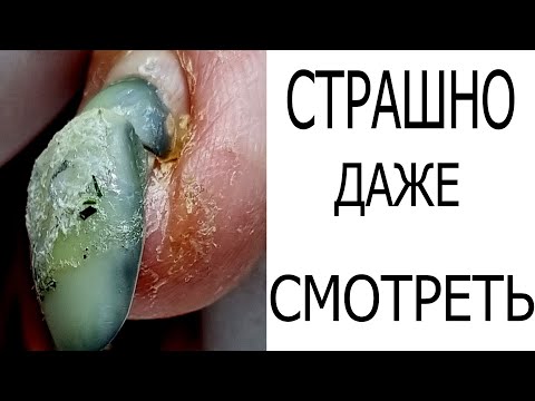 Видео: Осилил 6 КЛИЕНТОВ Dykemann Nagel M44