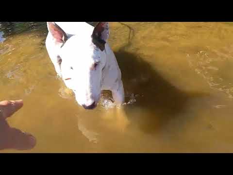 Видео: Спортивная рыбалка