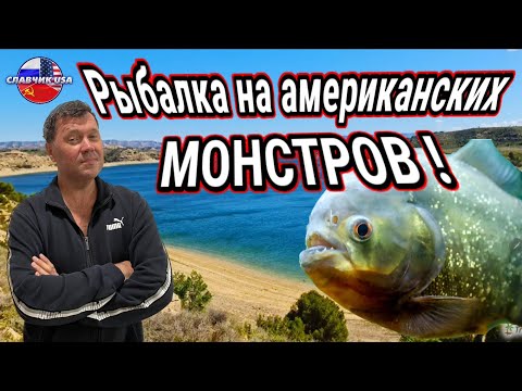Видео: Американская рыбалка и ведро чёрной икры !