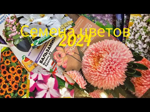 Видео: Купила семена цветов на новый сезон 2024 / Пока недорого / Много интересного #обзор #семена #цветы