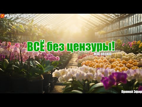 Видео: Обычным покупателям дорога закрыта!! А мы показываем ВСЁ без цензуры! 🌸