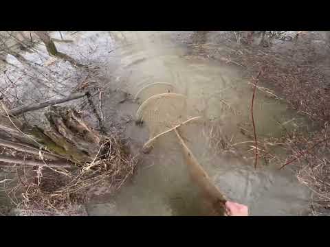 Видео: Проверка фитилей. Такого не кто не ожидал.. Рыбалка. Залётные проверяют наши фитили