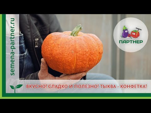 Видео: ВКУСНО! СЛАДКО И ПОЛЕЗНО! ТЫКВА - КОНФЕТКА!