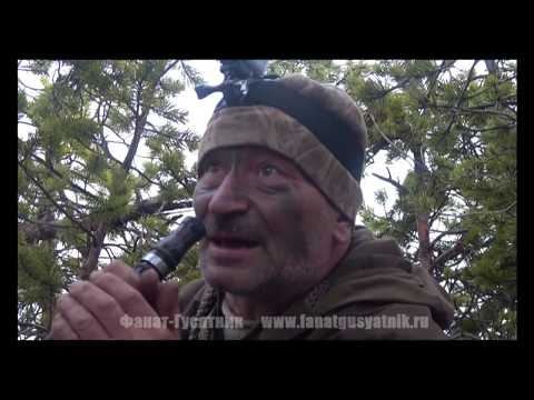 Видео: Охота на гуся. Каргополь, весна 2018. День первый