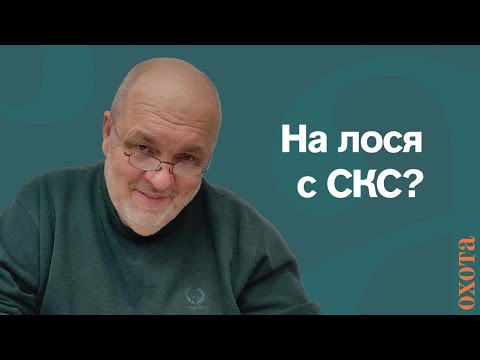 Видео: На лося с СКС? Валерий Кузенков о возможности охоты на лосей с ружьем СКС.