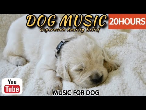 Видео: 20 часов любимой музыки собак🐶💖Музыка для сна собак 🐶🎵 Музыка для снятия беспокойства при разлуке🎵