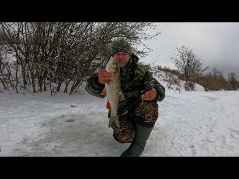 Видео: ПОМЕНЯЛ МЕСТО И ОНИ ПОПЁРЛИ ! Зимняя рыбалка февраль 2024