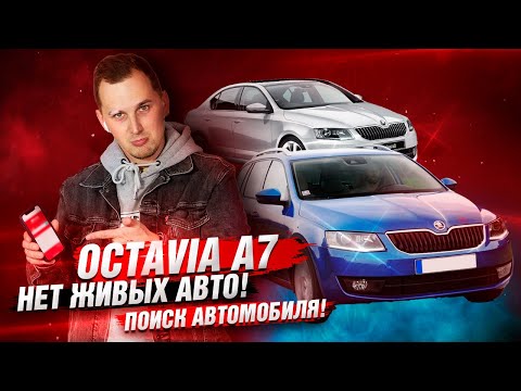 Видео: ПОИСК Skoda Octavia A7 / за СКОЛЬКО и в каком Состоянии?!