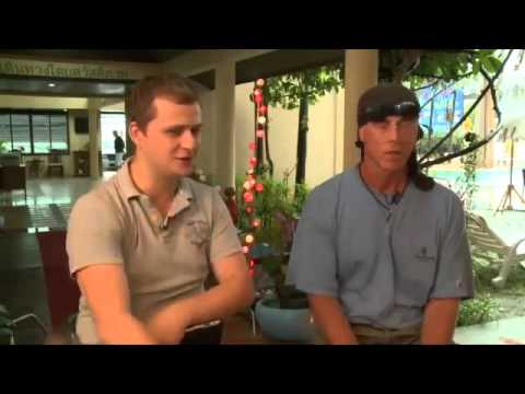 Видео: Исцеляющий Импульс Голтиса видео упражнения Мастер класс