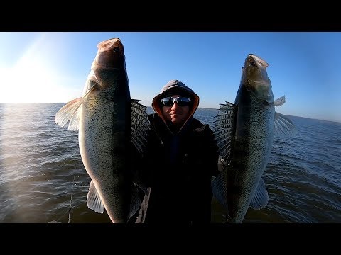 Видео: КЛЮЮТ КРОКОДИЛЫ! Рыбалка на СУДАКА!