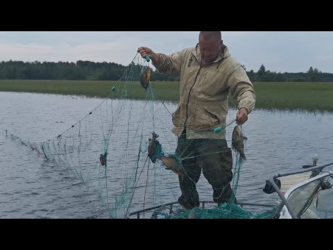 Видео: ⚡Рыбалка на Сети. Огромные Караси - Лапти Рвут Сети!!!!!!