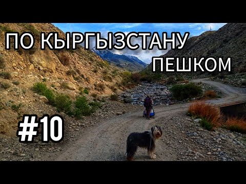 Видео: 10. По Кыргызстану пешком. Сёла Барскоон - Тамга - Тосор