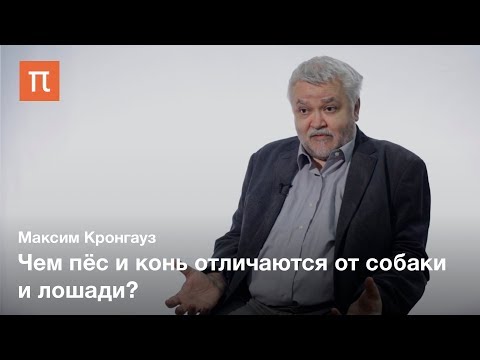 Видео: Проблема пола и экономия в языке — Максим Кронгауз