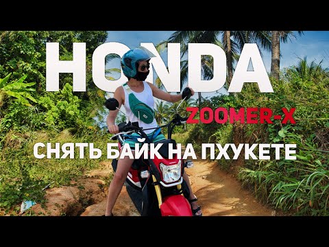 Видео: Аренда байка в Таиланде. 🏍 Обзор Honda ZOOMER X #пхукет