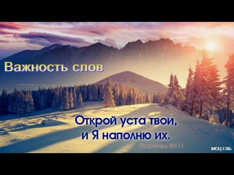 Видео: "Важность слов". В. Германюк. МСЦ ЕХБ