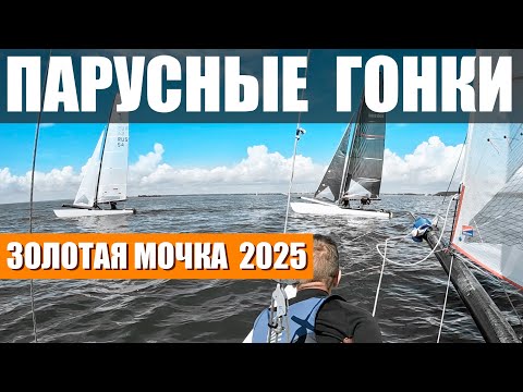 Видео: Гонки "Золотая мочка 2025". Слабый ветер. #siberianextremesailing