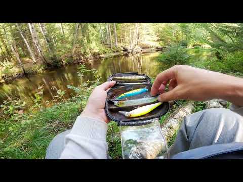 Видео: KastKing Maxsteel 1,98 5 15 гр Обзор на реке