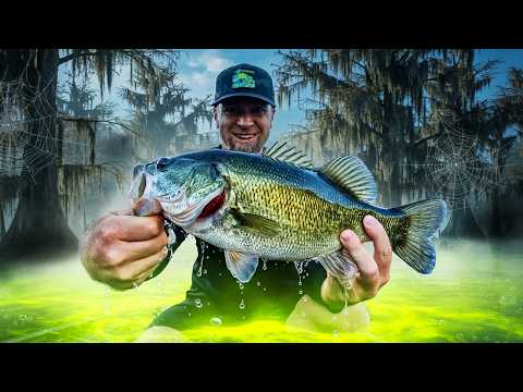 Видео: Тестируем НОВЫЕ удилища 6th Sense BFS… И ВСЕ ПОШЛО НЕ ТАК!