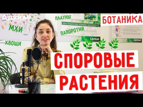 Видео: Споровые растения (мхи, хвощи, плауны, папоротники) | Биология ЦТ, ЕГЭ