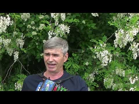 Видео: Малиновый звон