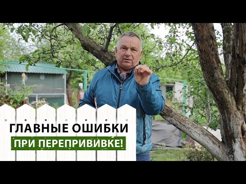 Видео: Что лучше: окулировка или черенкование? Разрушаем мифы о прививке деревьев и отвечаем на вопросы