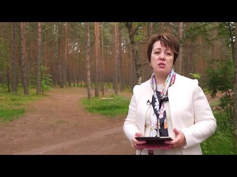 Видео: 313. В.О. - Проблема зависимости, как помочь сыну?