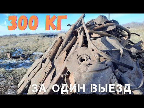 Видео: УДАЧНЫЙ ВЫЕЗД! НАКОПАЛ ГОРУ МЕТАЛЛА В ЛЕСОПОЛОСЕ! КОП С TX-850