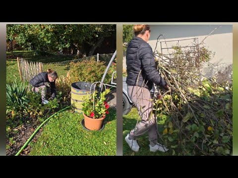 Видео: Осенняя уборка на участке. Часть 3.