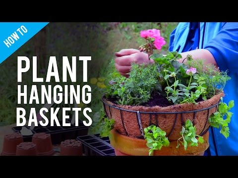 Видео: Руководство по подвесным корзинам с растениями и цветами