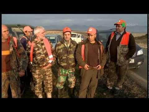 Видео: Ловен излет за див заек край Кърджали - 1ва част