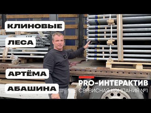 Видео: Клиновые леса Артёма Абашина