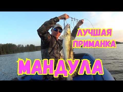 Видео: ОСЕННИЙ СУДАК,,,МАНДУЛА  ЭТО ТЕМА!!!!